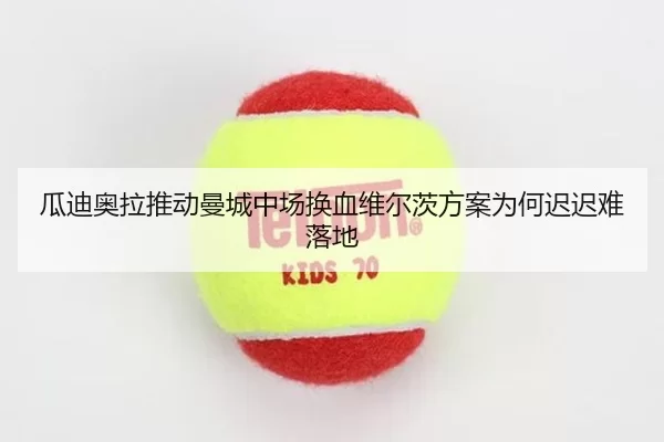 瓜迪奥拉推动曼城中场换血维尔茨方案为何迟迟难落地