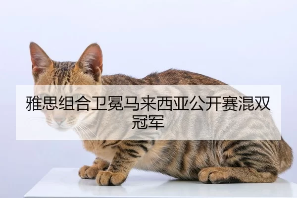 雅思组合卫冕马来西亚公开赛混双冠军