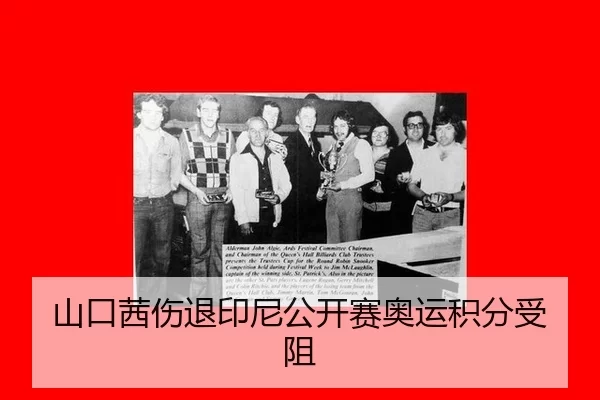 山口茜伤退印尼公开赛奥运积分受阻